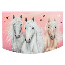 Load image into Gallery viewer, Miss Melody Small Jewellery Box - Sundown (3xhorses)