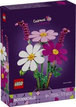 Load image into Gallery viewer, 11514 Cosmos Flowers Botanicals