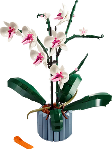 10311 Orchid Creator Expert