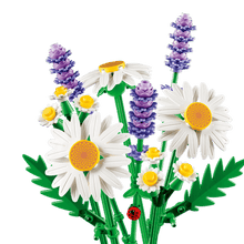 Load image into Gallery viewer, 11508 Daisies Botanical Collection