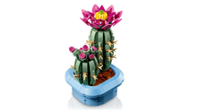 Load image into Gallery viewer, 11509 Flowering Cactus Botanical Collection