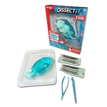 Load image into Gallery viewer, Dissect It - Mini Piranha W Magnifying Glass