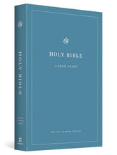 Load image into Gallery viewer, Holy Bible Blue