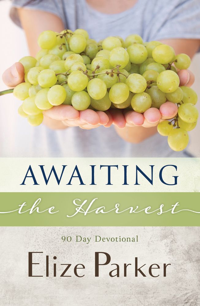 Awaiting The Harvest