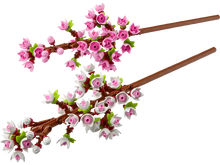 Load image into Gallery viewer, 40725 Cherry Blossoms Lel Flowers
