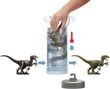 Load image into Gallery viewer, Jurassic World Dino Reveal Assorted