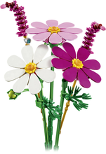 Load image into Gallery viewer, 11514 Cosmos Flowers Botanicals