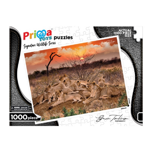 Puzzle 1000pc Wildlife Assorted