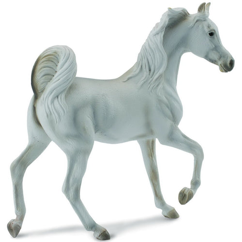 Arabian Mare Grey XL (Horse)