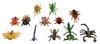 Insects 12pc (Animal World)