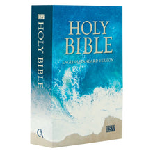 Load image into Gallery viewer, Holy Bible Turquoise (ocean)