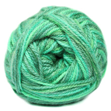 Load image into Gallery viewer, Charity Wool Dbl Knit Lihiya Print 5 x 100g