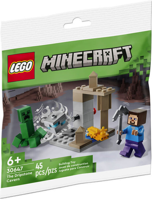 30647 The Dripstone Cavern Minecraft (Bag)