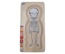 Load image into Gallery viewer, Puzzle Head To Toe - Boy (Wooden)