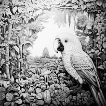 Load image into Gallery viewer, Fine Art - African Jungle Parrot 300 x 300mm Board
