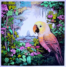 Load image into Gallery viewer, Fine Art - African Jungle Parrot 300 x 300mm Board