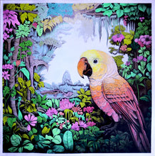 Load image into Gallery viewer, Fine Art - African Jungle Parrot 595 x 595mm