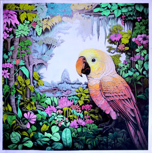 Fine Art - African Jungle Parrot 595 x 595mm