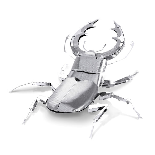 Puzzle 3D Stag Beetle 12pc