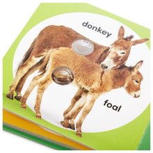 Load image into Gallery viewer, Poke-A-Dot - Farm Animal Families