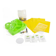 Load image into Gallery viewer, Creative Sprouts Table Top Greenhouse
