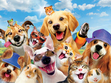 Load image into Gallery viewer, Puzzle 60pc Selfie Cats &amp; Dogs Parrot (Summer Fun)