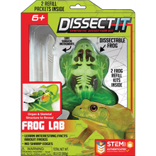 Load image into Gallery viewer, Dissect It - Mini Frog with Magnifying Glass