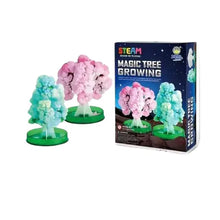 Load image into Gallery viewer, Magic Tree Growing (Boxed) (Zhong Sheng)