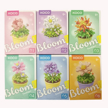 Load image into Gallery viewer, Bloom Boutique Succulents Assorted