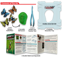 Load image into Gallery viewer, Dissect It - Discovery Line Mystery Butterflies (Carded)
