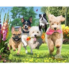 Puzzle 500pc Here Comes Trouble (RGS)