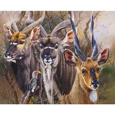 Puzzle 1500pc Kudu (Bushveld Splendour)