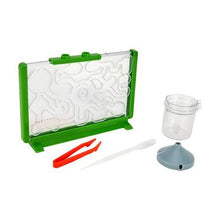 Load image into Gallery viewer, Play Go Ant Farm Discovery (Boxed)