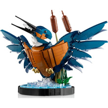 Load image into Gallery viewer, 10331 Kingfisher Bird Icons