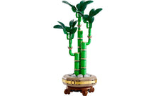 Load image into Gallery viewer, 10344 Lucky Bamboo Botanicals