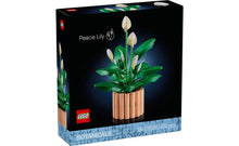 Load image into Gallery viewer, 11504 Peace Lilly Botanical Collection