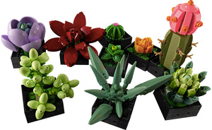 10309 Succulents Botanical Collection