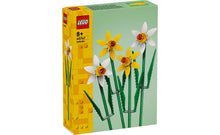 Load image into Gallery viewer, 40747 Daffodils Lel Flowers