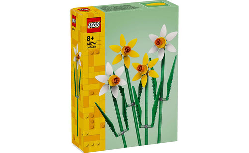 40747 Daffodils Lel Flowers
