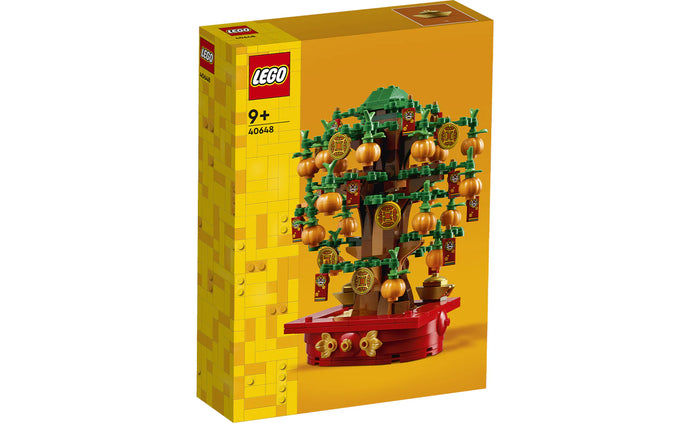 40648 Money Tree