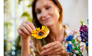 10313 Wildflower Bouquet Botanical Collection