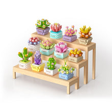 Load image into Gallery viewer, Bloom Boutique Succulents Assorted