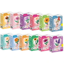 Load image into Gallery viewer, Bloom Boutique Flower in Wrap Asst (Boxed)