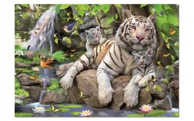 Puzzle 1000pc White Tigers of Bengal