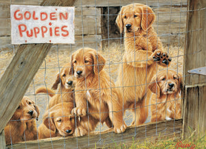 Puzzle 500pc Golden Puppies (Cobble Hill)