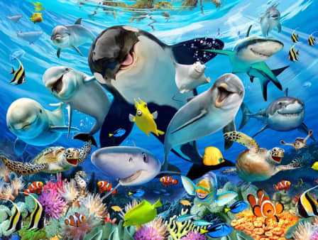 Puzzle 1000pc Underwater Selfie