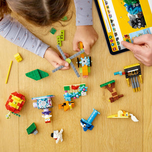 11019 Bricks & Functions Classic
