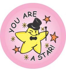 You Are A Star Stickers 60pc